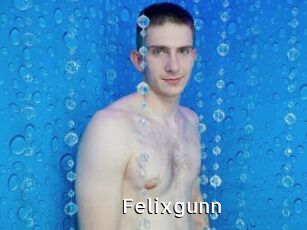 Felixgunn