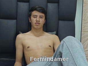 Fermindamer