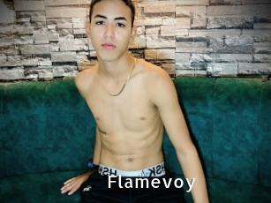 Flamevoy