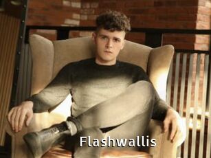 Flashwallis
