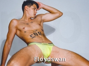 Floydswan