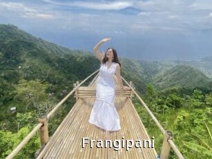 Frangipani
