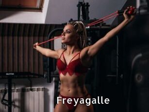 Freyagalle