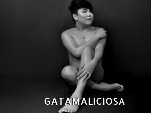 GATAMALICIOSA