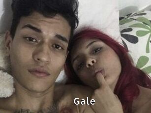 Gale