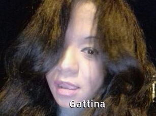 Gattina