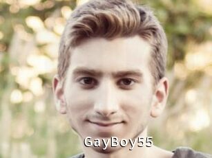 GayBoy55
