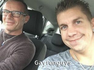Gayfunguys