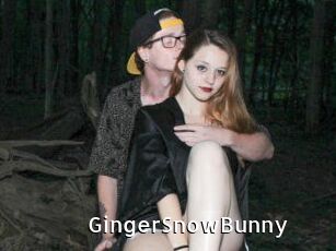 GingerSnowBunny