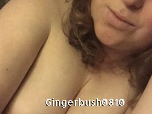 Gingerbush0810
