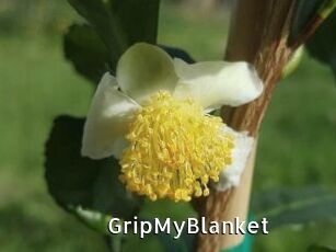 GripMyBlanket