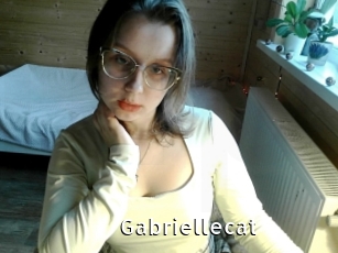 Gabriellecat