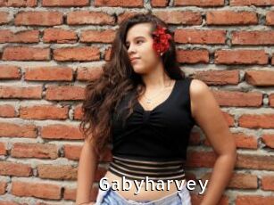 Gabyharvey