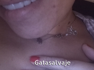 Gatasalvaje