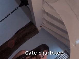 Gate_charlotee