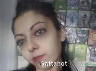 Gattahot