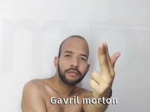 Gavril_morton