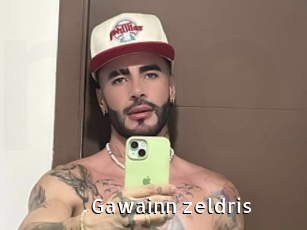 gawainn_zeldris My Porno Stash