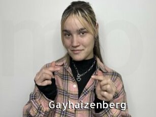 Gayhaizenberg
