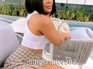 Gingerspice202
