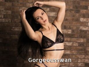 Gorgeousswan