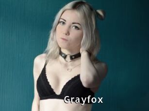 Grayfox