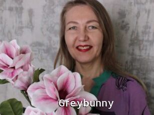 Greybunny