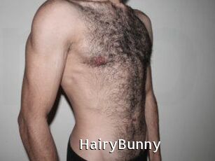 HairyBunny