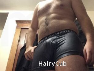 HairyCub