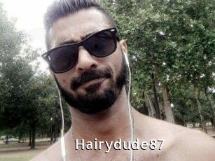 Hairydude87