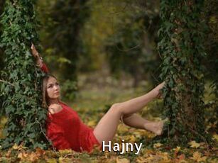 Hajny