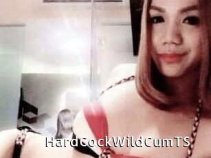 HardCockWildCumTS