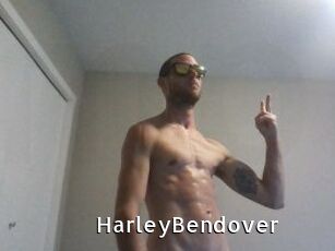 HarleyBendover My Porno Stash