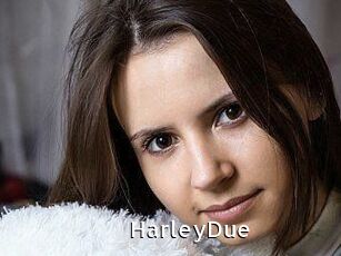 Harley_Due