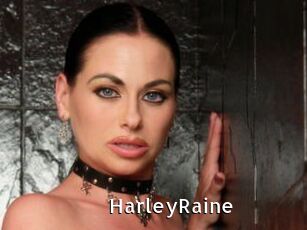 HarleyRaine My Porno Stash