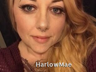 HarlowMae