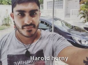 Harold_horny