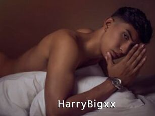 HarryBigxx