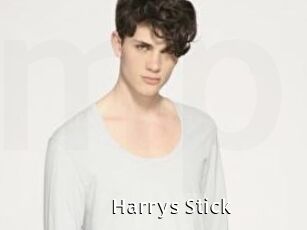 Harrys_Stick