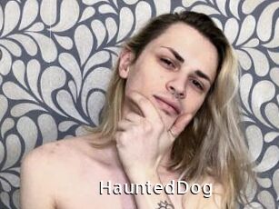 HauntedDog