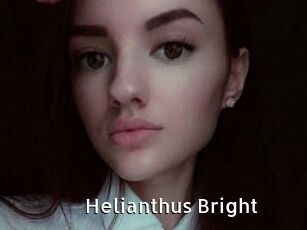 Helianthus_Bright
