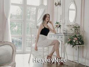 HeyleyNice
