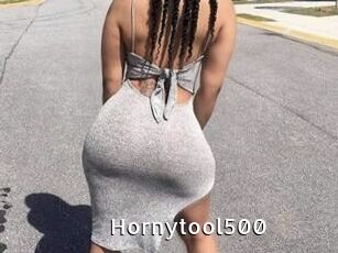 Hornytool500