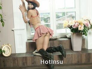 HotInsu