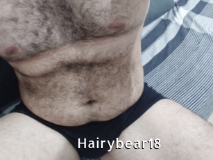 Hairybear18