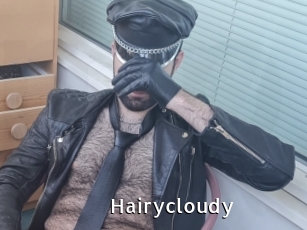 Hairycloudy