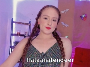 Halaanatendeer
