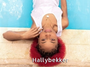 Hallybekker
