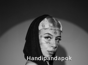 Handipandapok