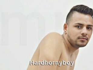 Hardhornyboy